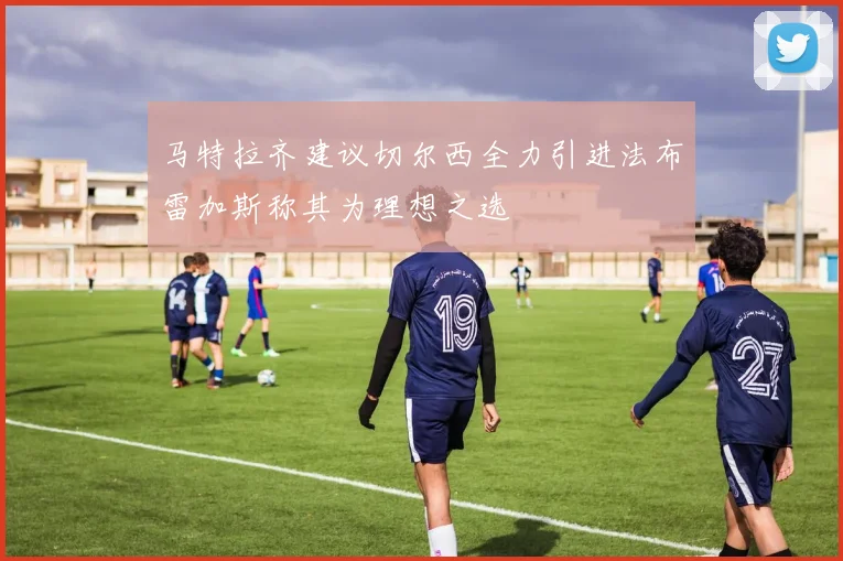 马特拉齐建议切尔西全力引进法布雷加斯称其为理想之选