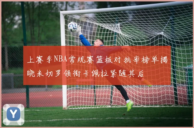 上赛季NBA常规赛篮板对抗率榜单揭晓米切罗领衔卡佩拉紧随其后