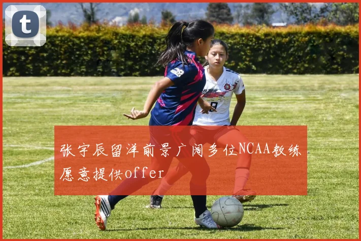 张宇辰留洋前景广阔多位NCAA教练愿意提供offer