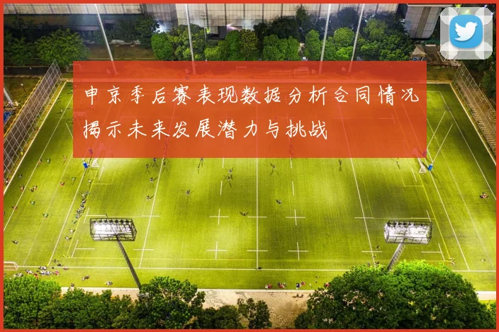 申京季后赛表现数据分析合同情况揭示未来发展潜力与挑战